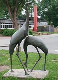 Die Kraniche auf unserem Schulhof. 